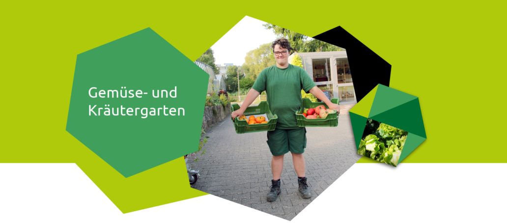 Eine junge Frau tr&auml;gt zwei volle Gem&uuml;sekisten in der Orangerie Aukamm.