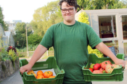 Arbeiten im Gemüsegarten