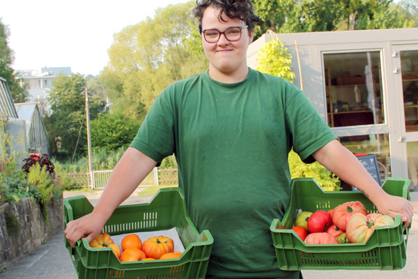 Arbeiten im Gem&uuml;segarten