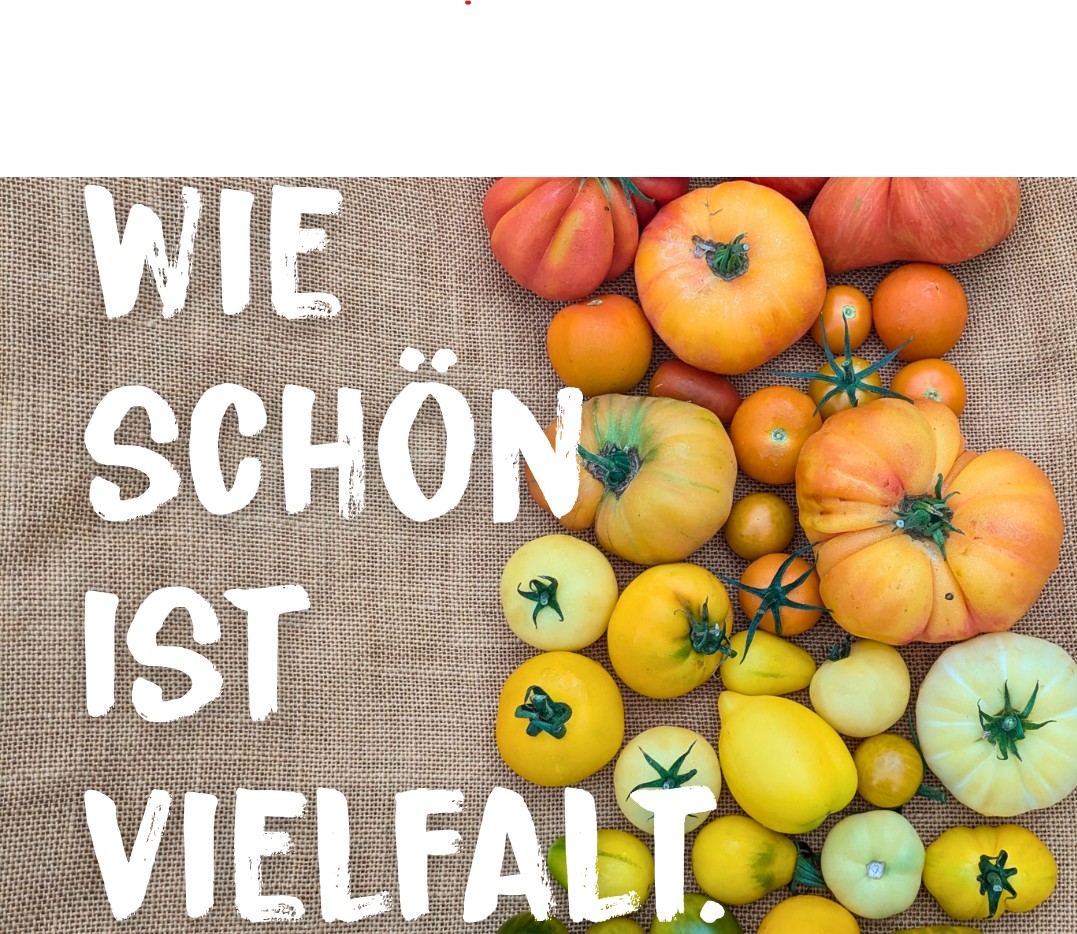 wie schön ist vielfalt - Post